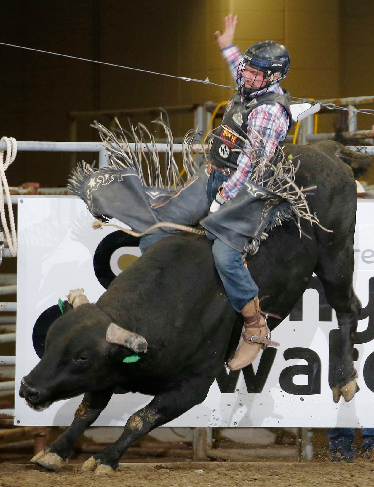 Chase Hawks rodeo